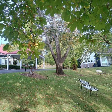 Moore Park Inn Armidale Exteriör bild