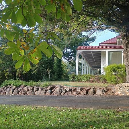 Moore Park Inn Armidale Exteriör bild