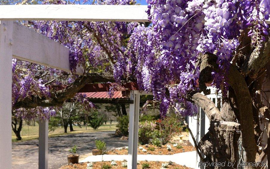 Moore Park Inn Armidale Exteriör bild