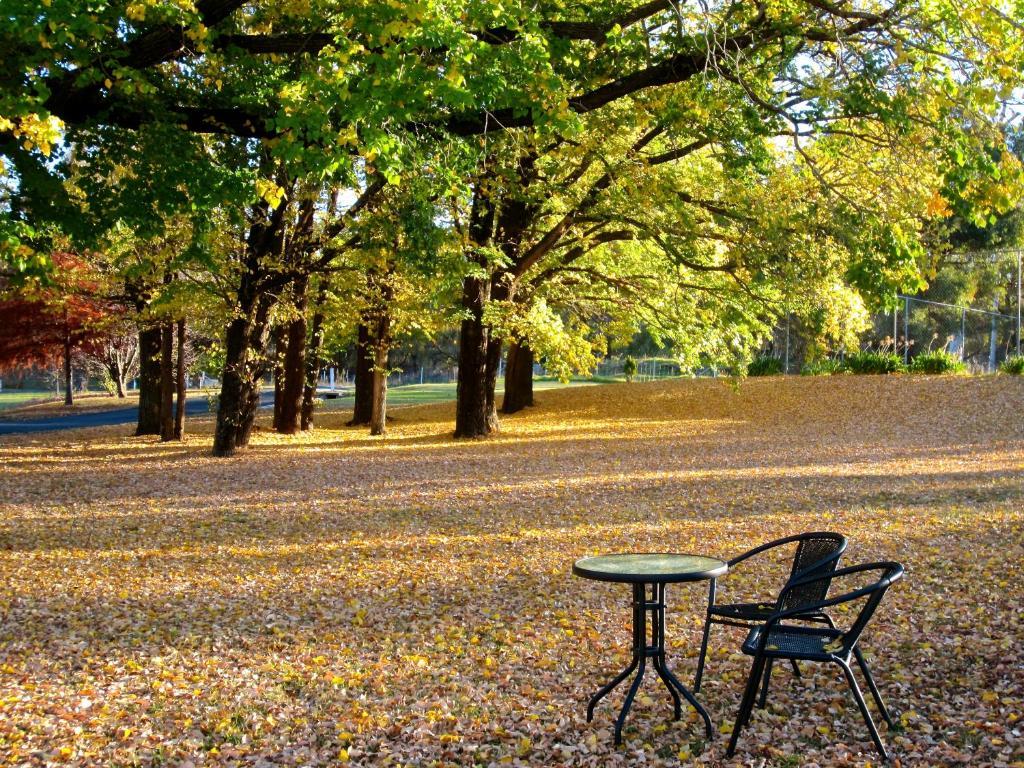 Moore Park Inn Armidale Exteriör bild