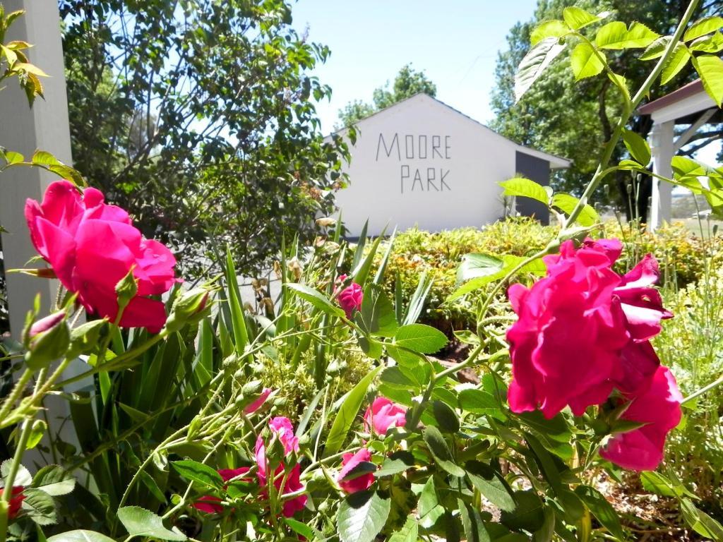 Moore Park Inn Armidale Exteriör bild